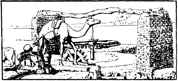 减速马达齿轮发展史 减速马达齿轮发展史